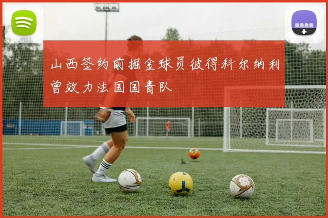 山西签约前掘金球员彼得科尔纳利曾效力法国国青队