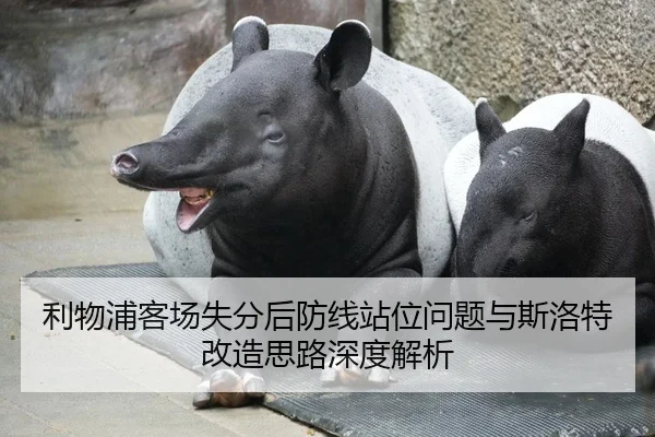 利物浦客场失分后防线站位问题与斯洛特改造思路深度解析